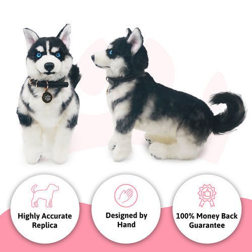 Custom Pet Lifelike Replica - Stuffed Clone of Your Pet