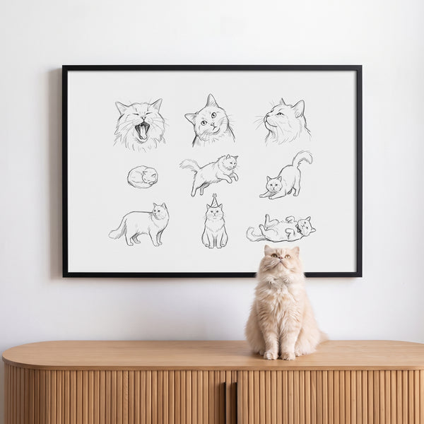 Pet Poses Sketch