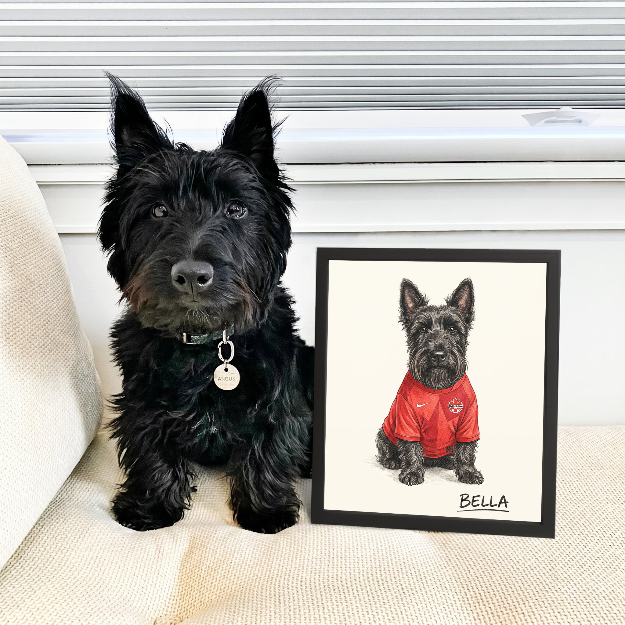 World Cup 2026 Pet Portrait
