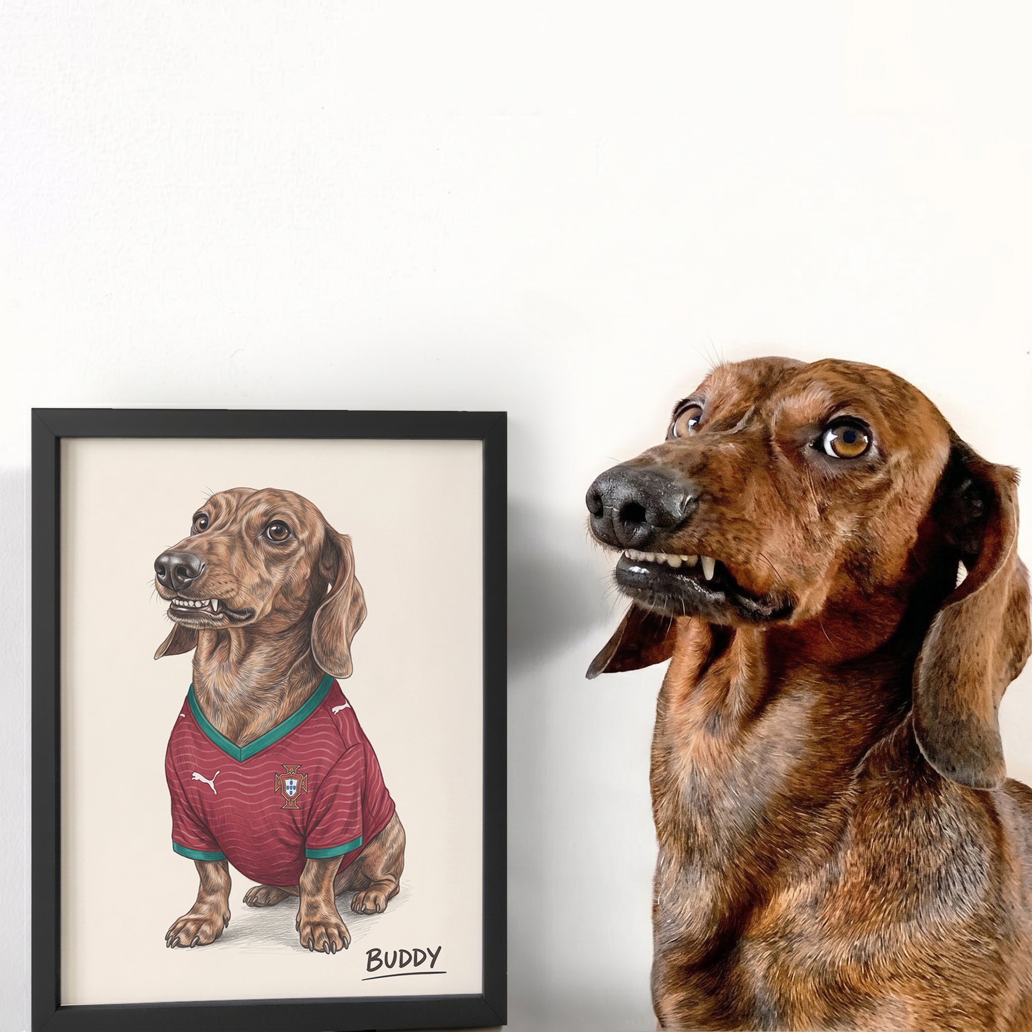 World Cup 2026 Pet Portrait