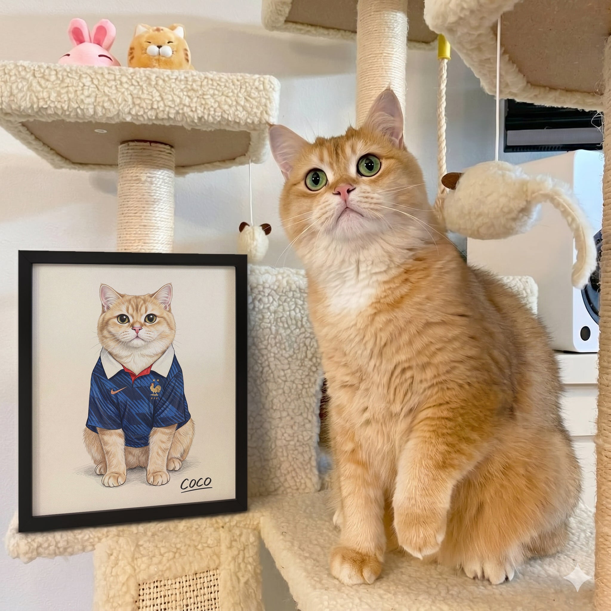 World Cup 2026 Pet Portrait