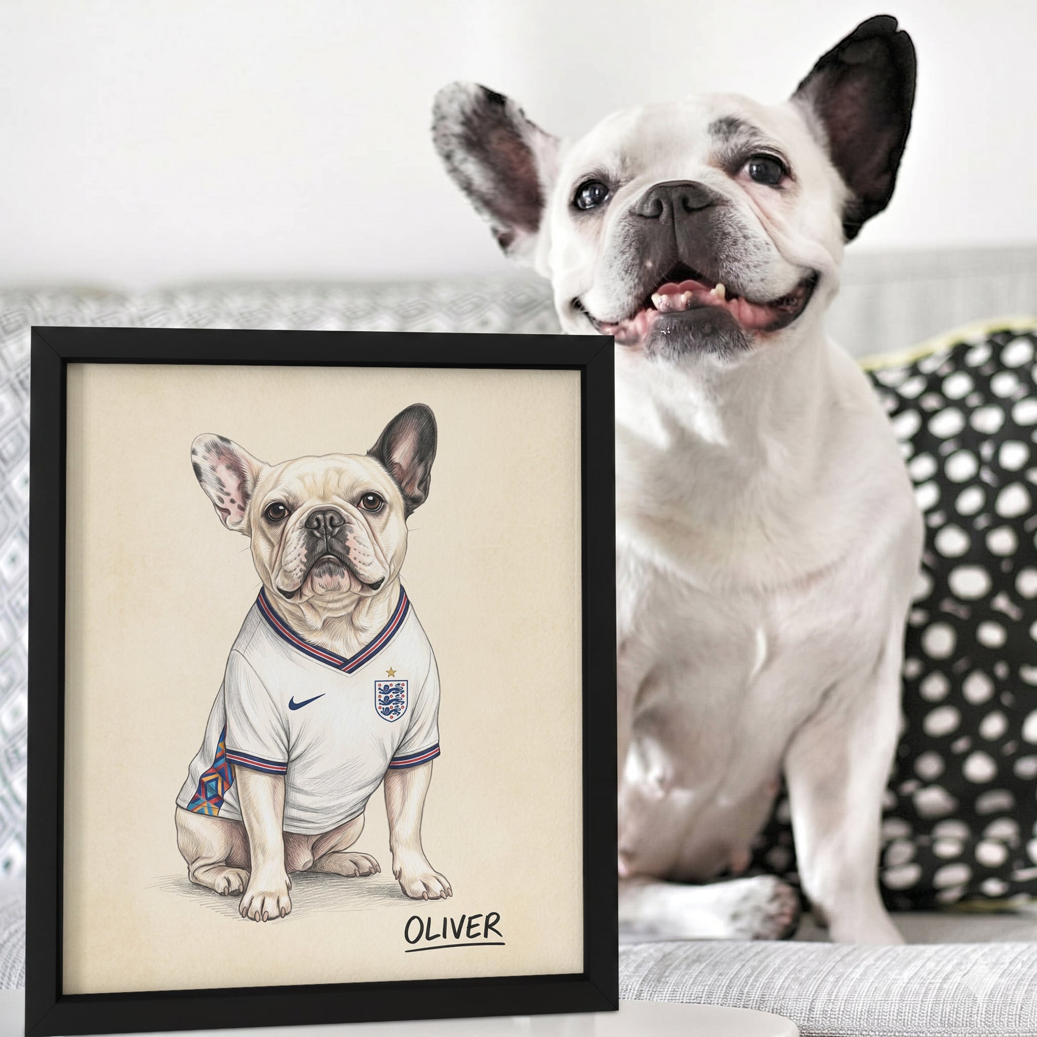 World Cup 2026 Pet Portrait