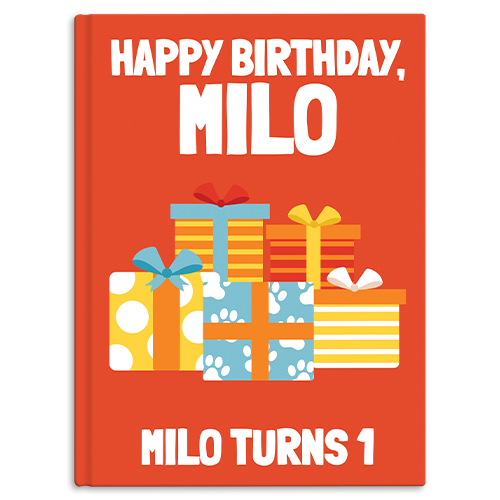 Birthday - Wrapped Gifts