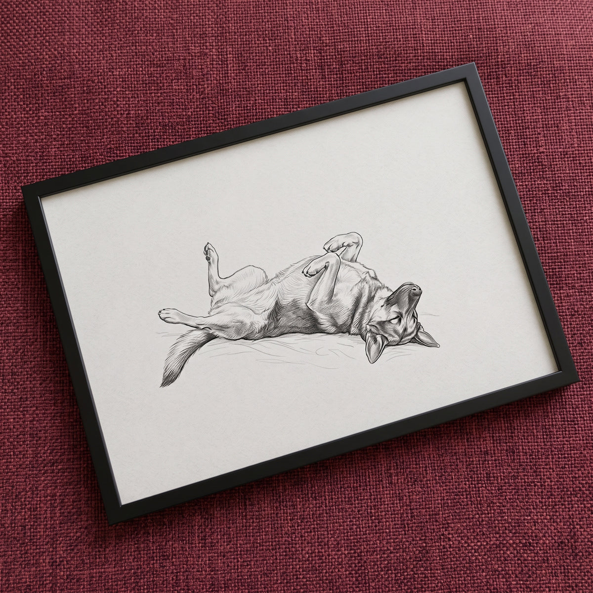 Belly Up Sleeping Pet Portrait