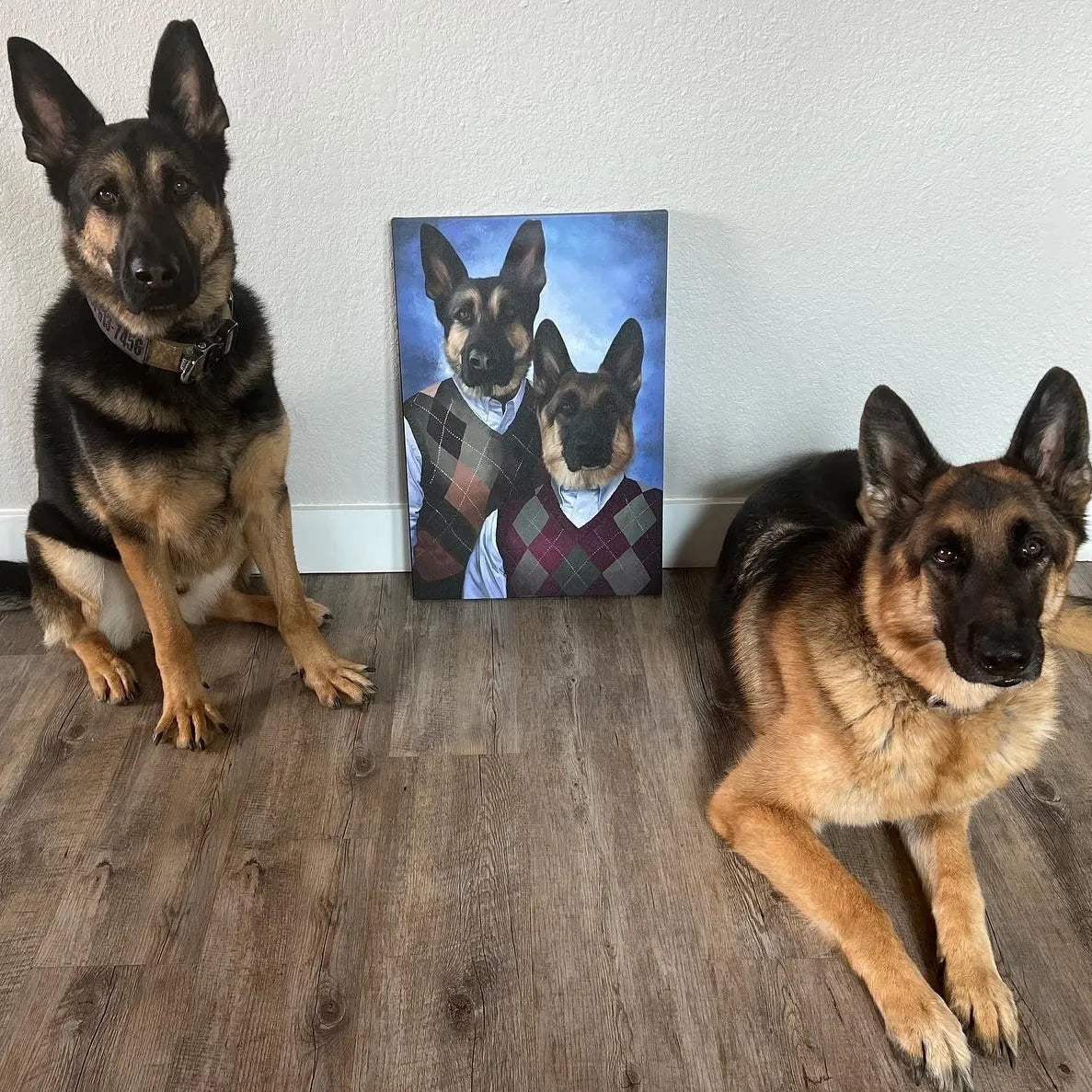 Step Brothers - Custom Pet Canvas