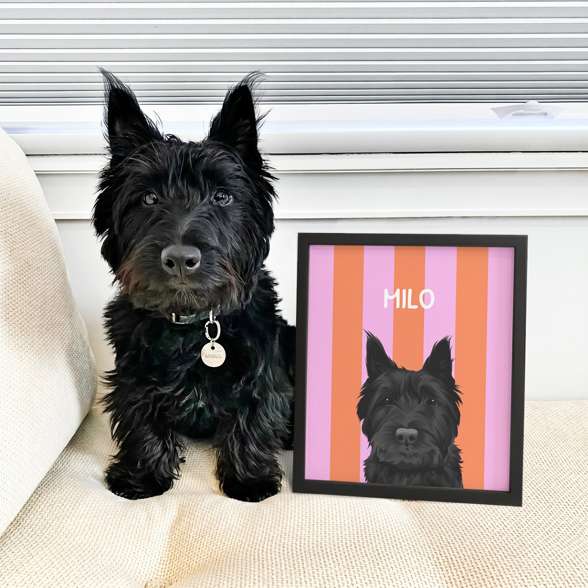 Striped Candy Pet Portrait