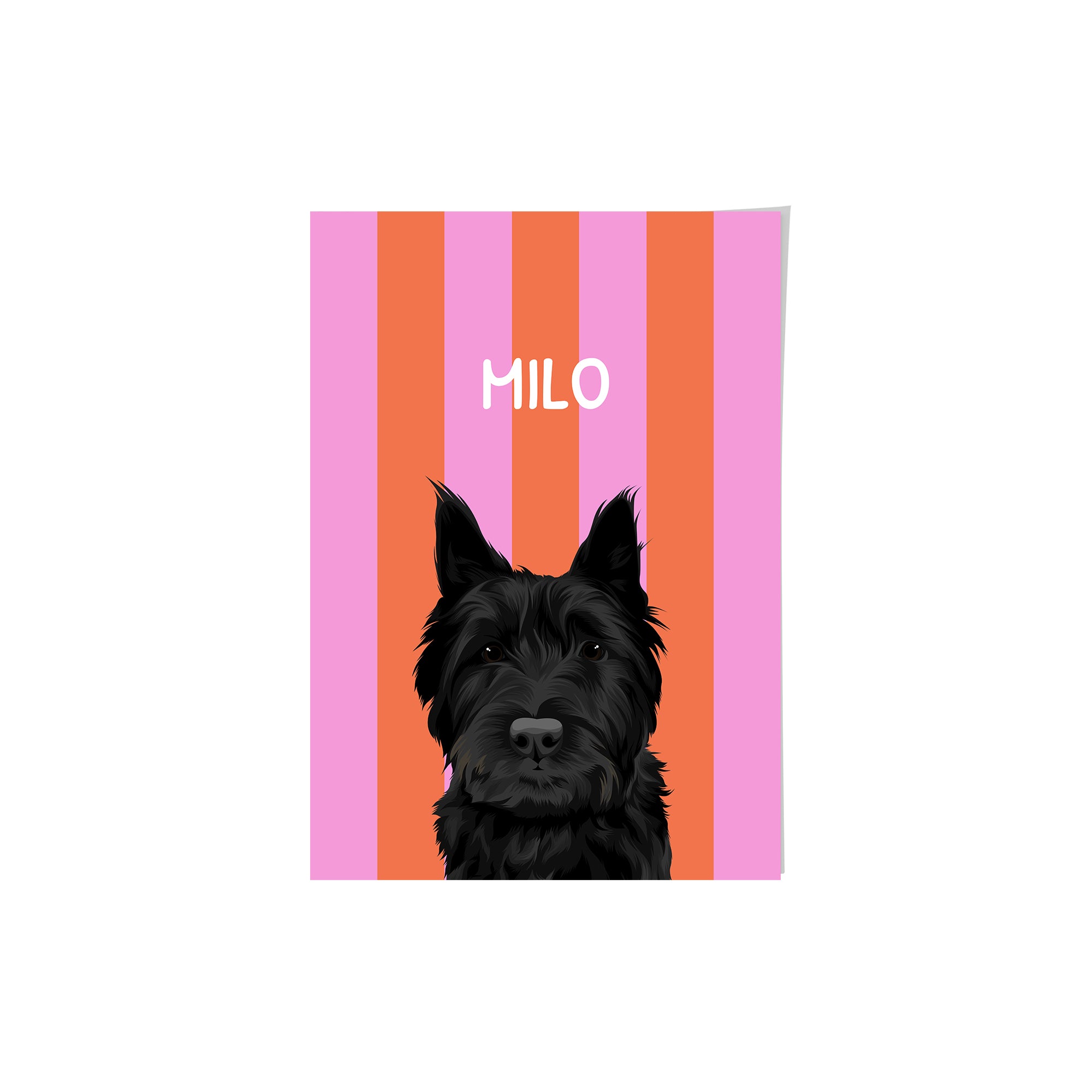 Striped Candy Pet Portrait