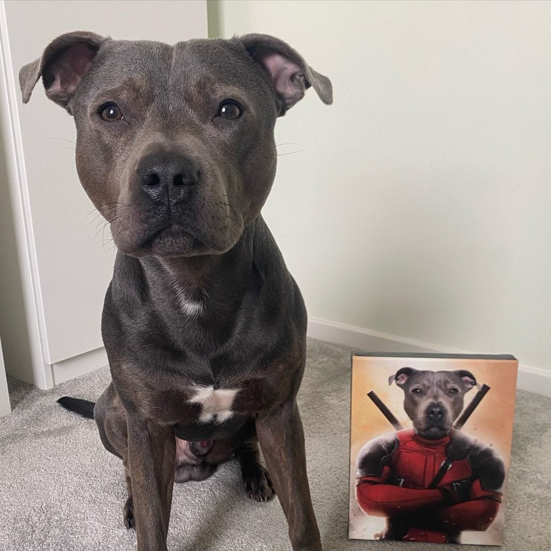 Crown and Paw - Canvas The Deadpawl - Custom Pet Canvas