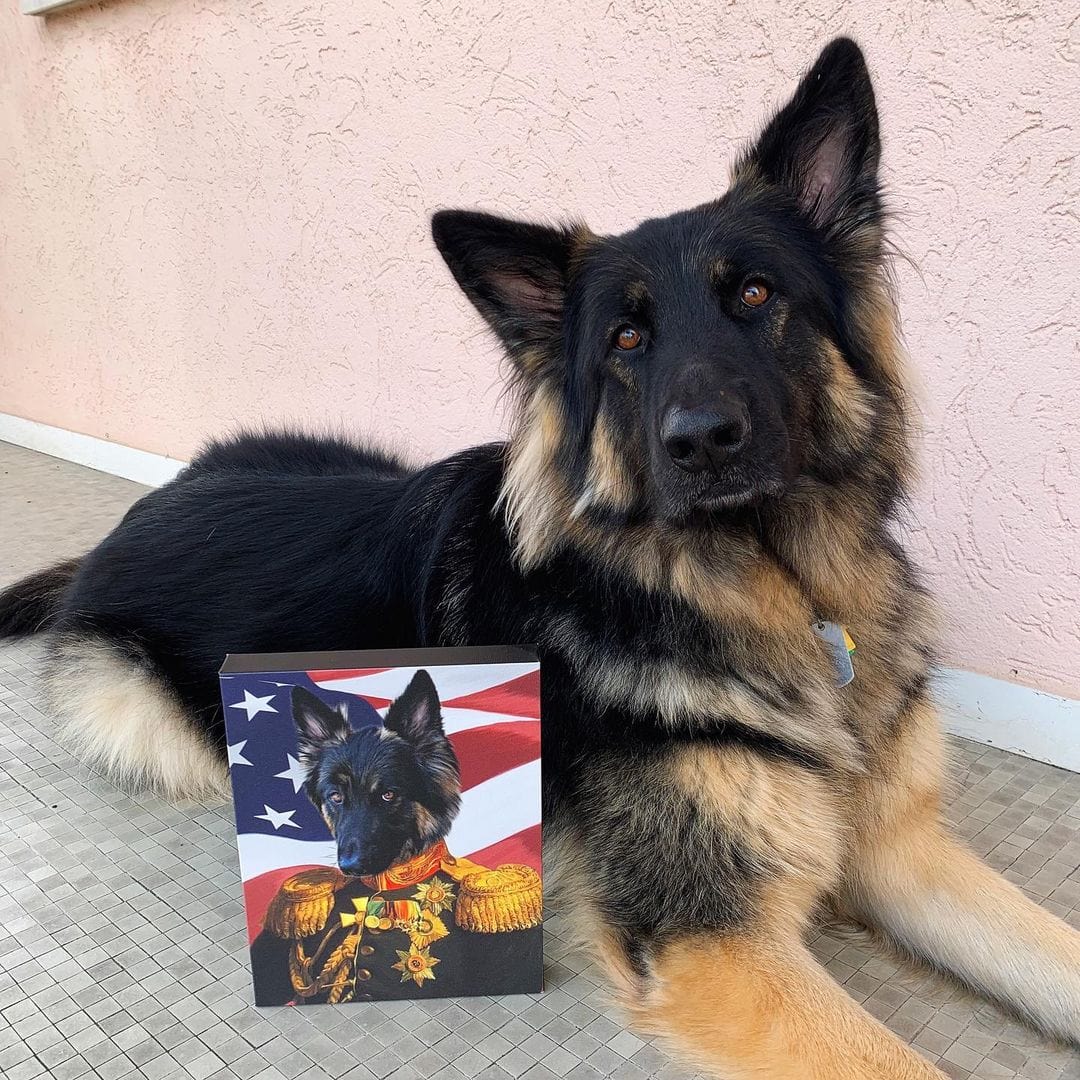 Crown and Paw - Canvas The Veteran - USA Flag Edition - Custom Pet Canvas