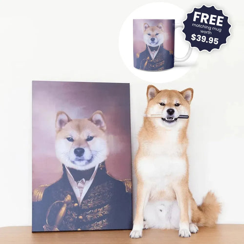 collection-meta-image