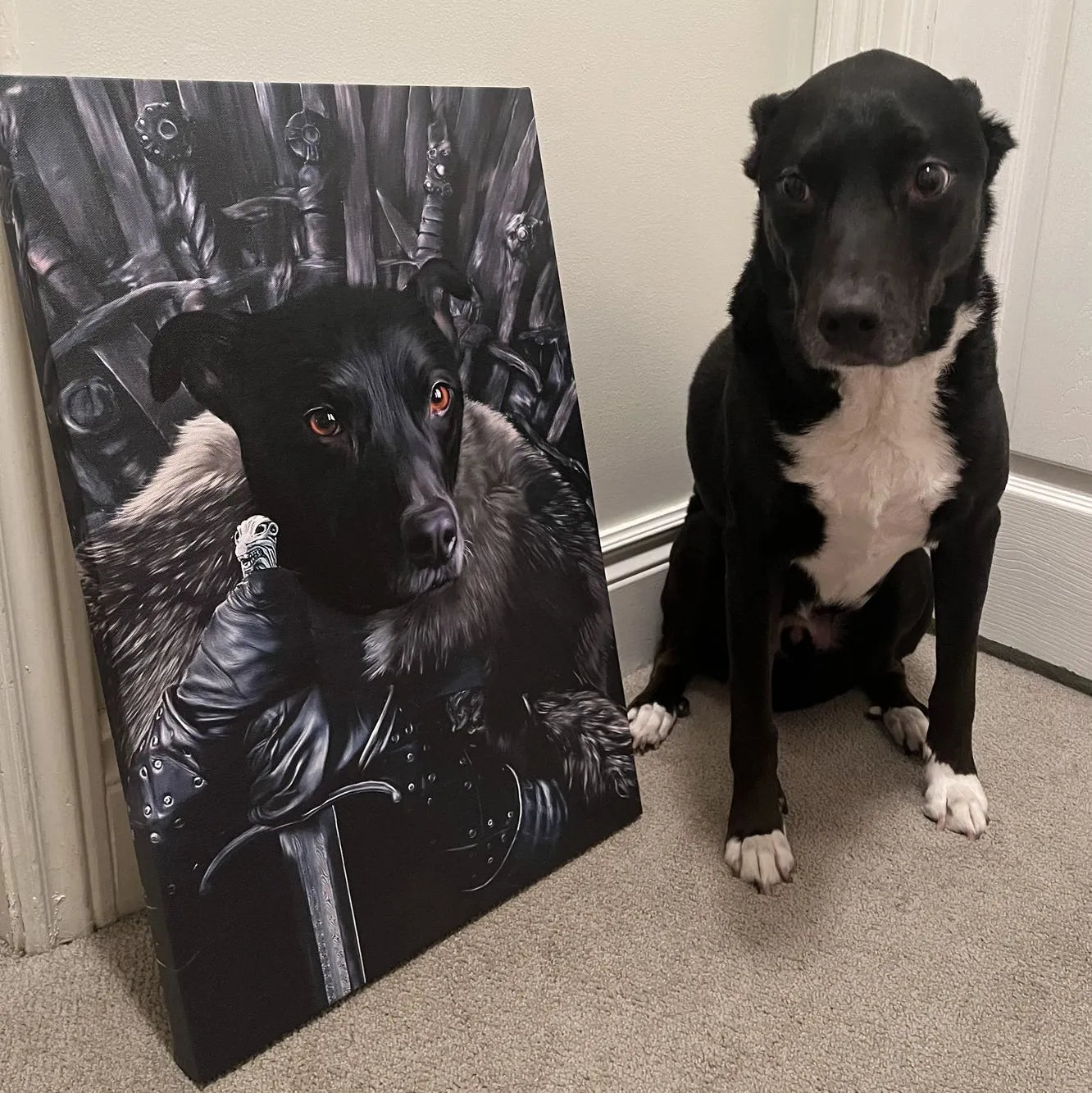 The King in the North - Custom Pet Canvas