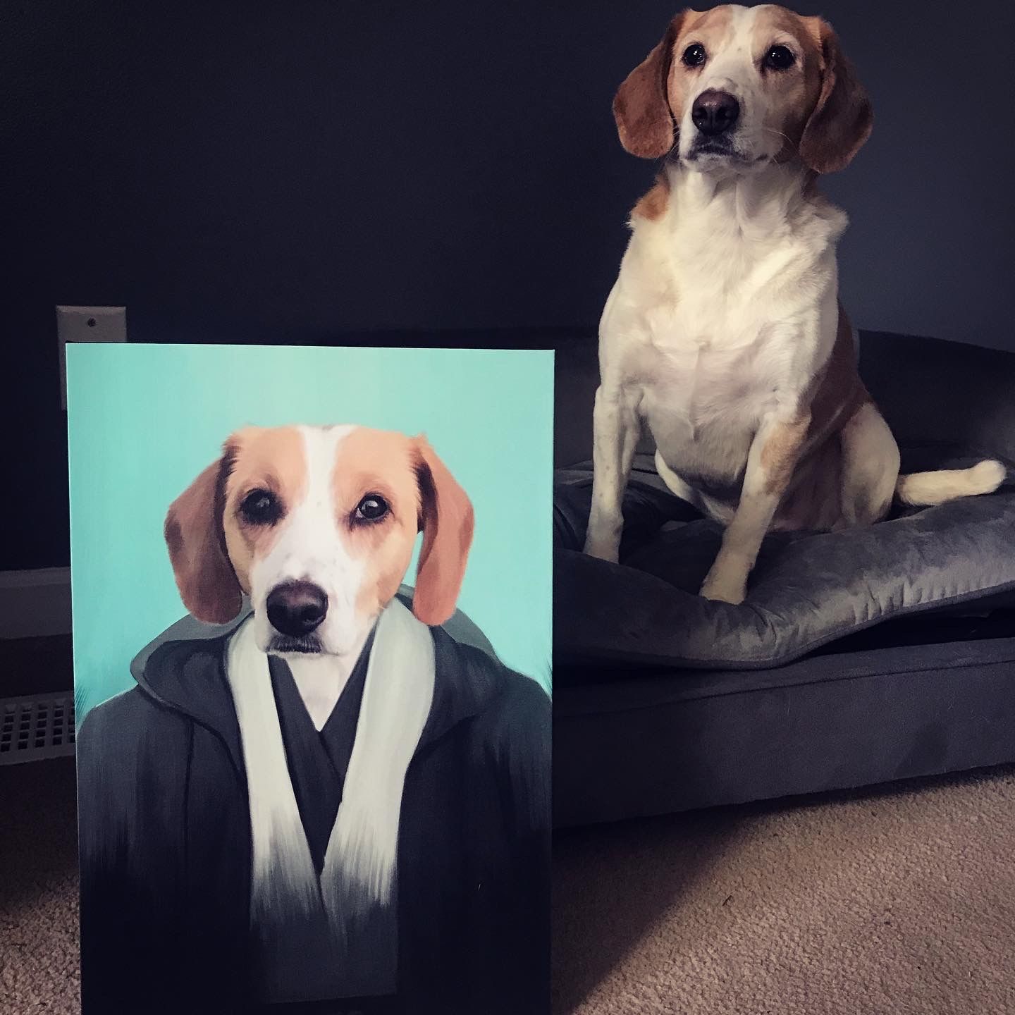 The Light Side - Custom Pet Canvas