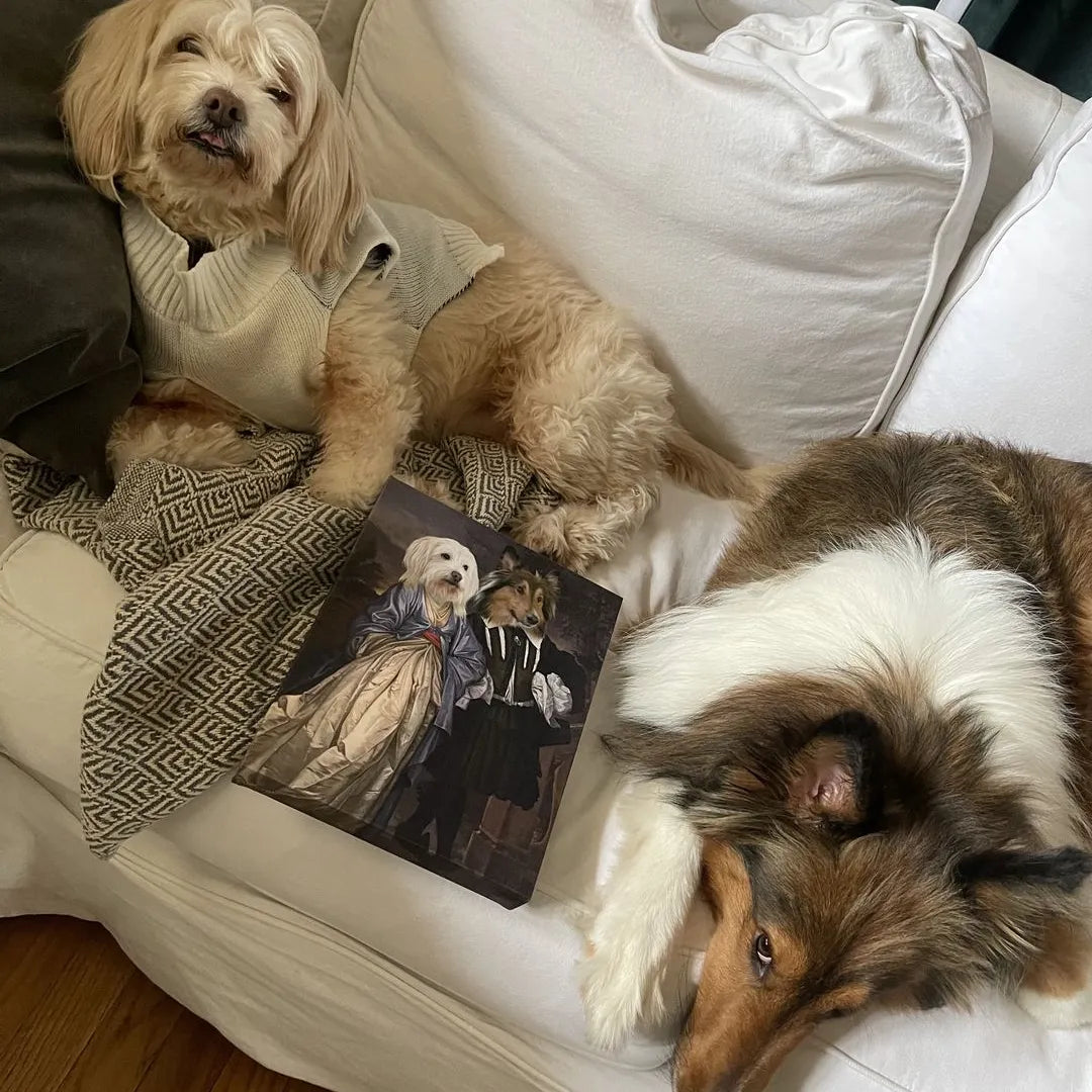 The Midnight Stroll - Custom Pet Canvas