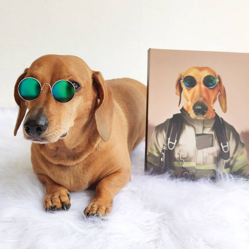 The Pilot - Custom Pet Canvas