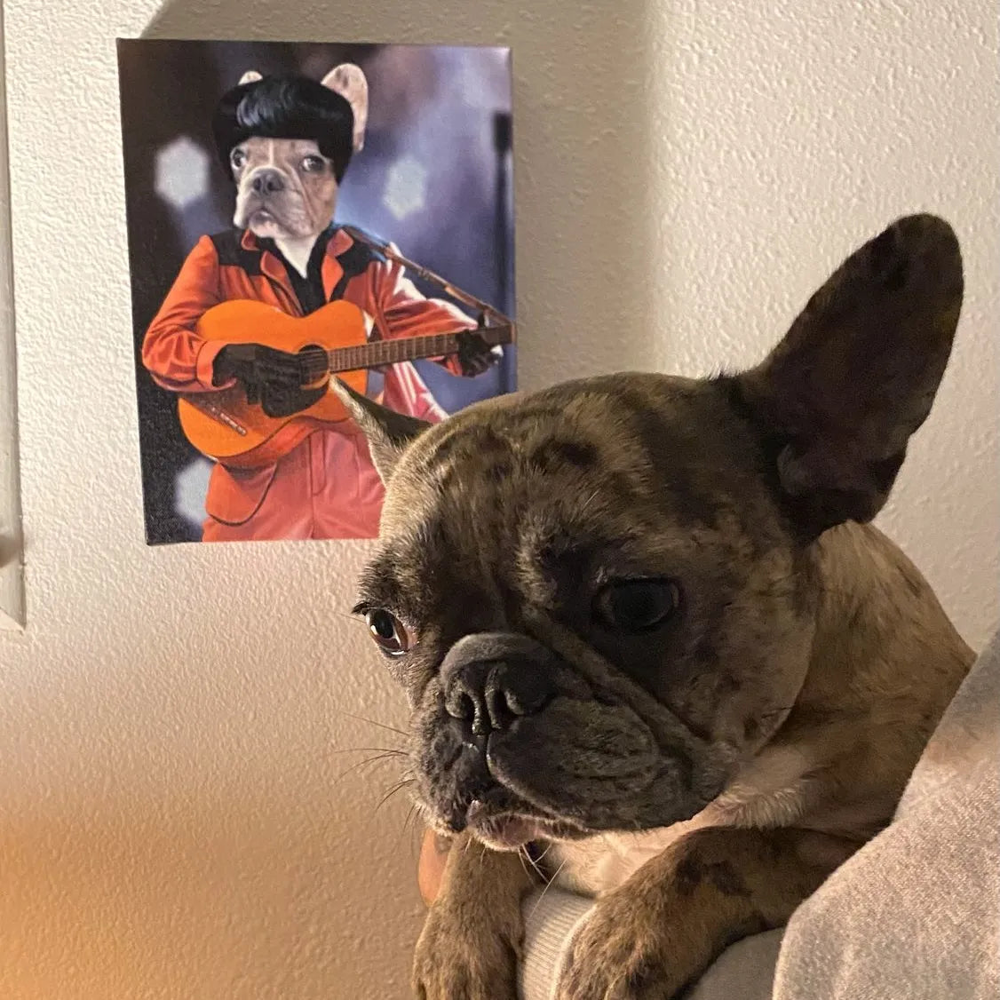 The Rock and Roll King - Custom Pet Canvas
