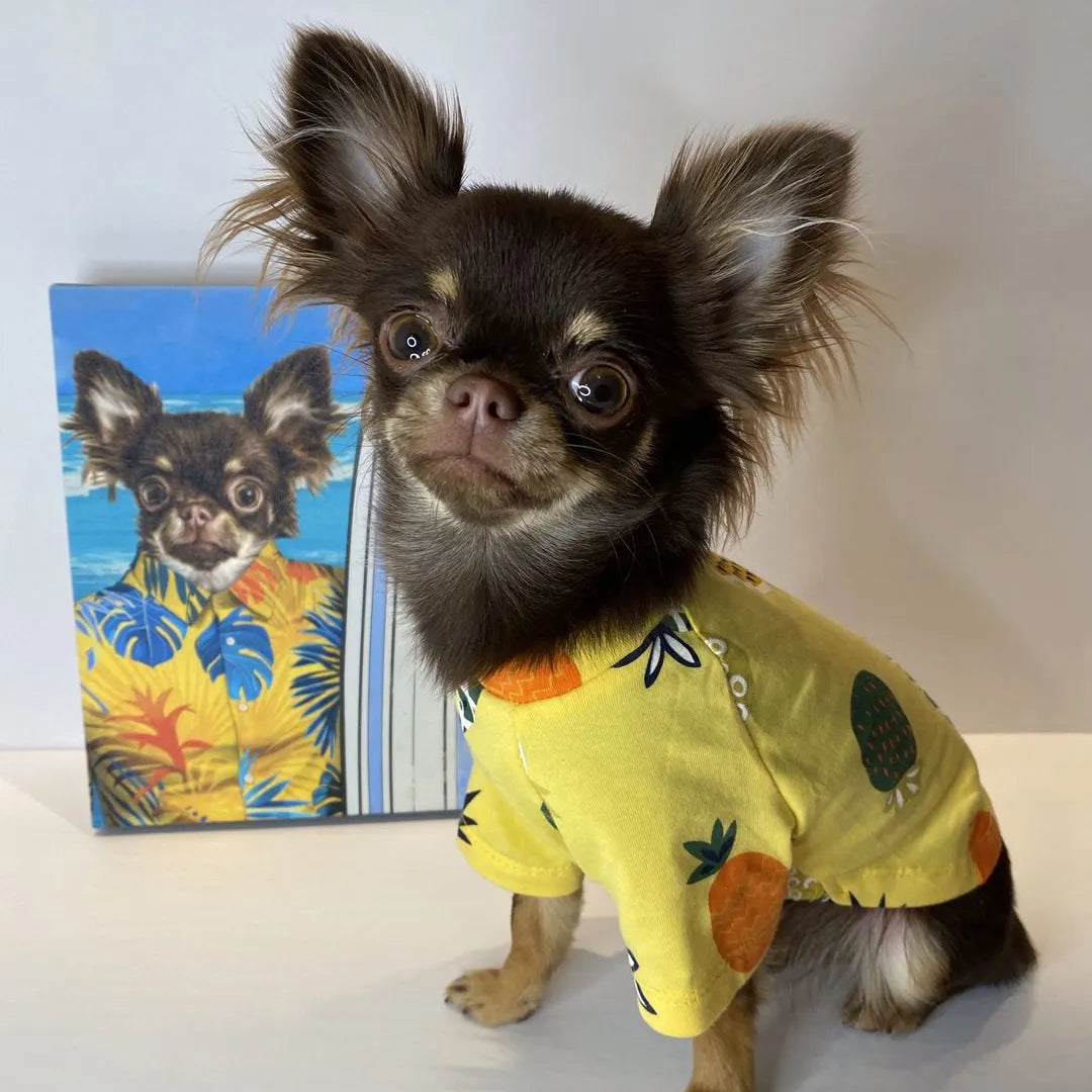 The Surfer - Custom Pet Canvas