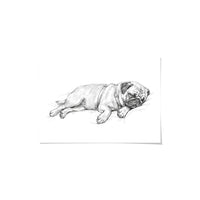 Sleeping Sketch Pet Portrait