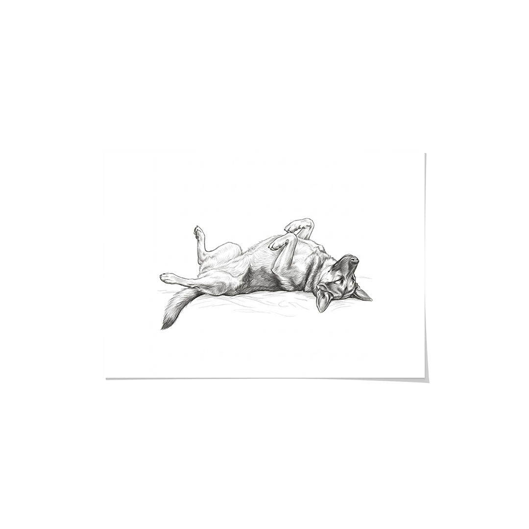 Belly Up Sleeping Pet Portrait