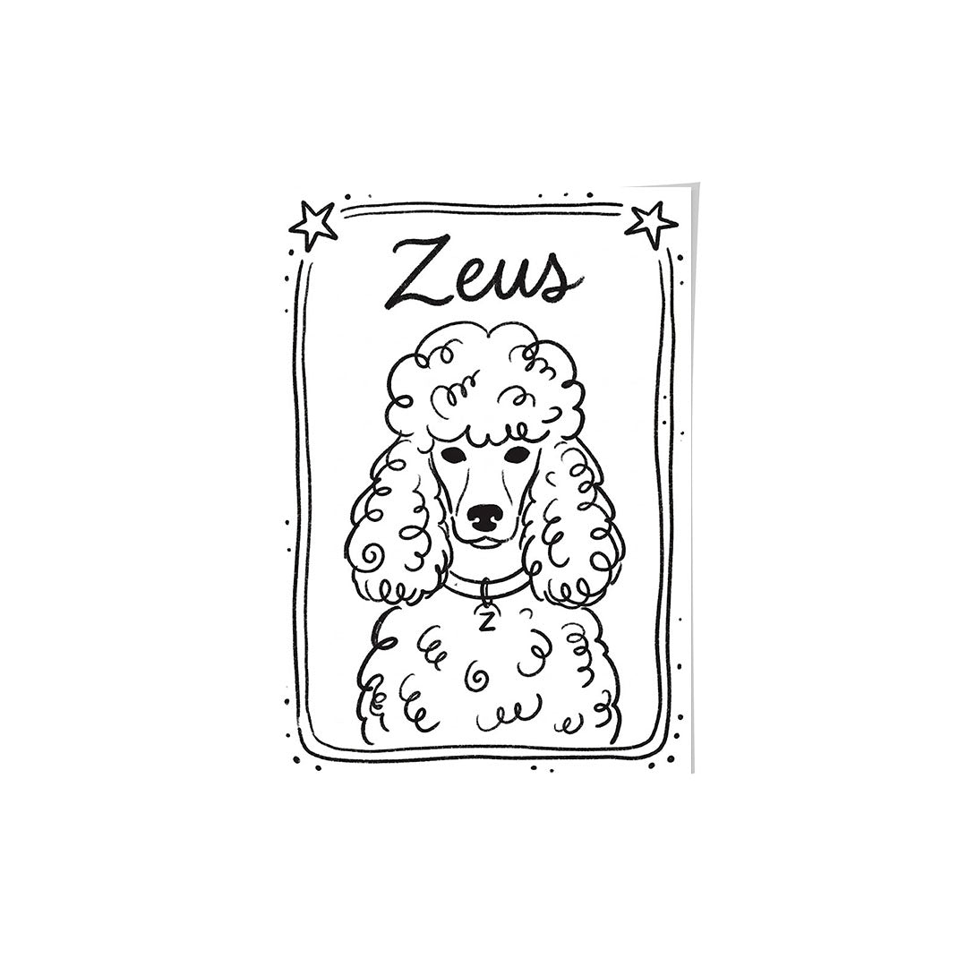 Mystical Doodle Pet Portrait