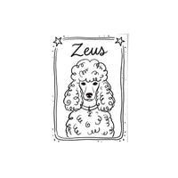 Mystical Doodle Pet Portrait