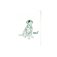 Minimalist Pet Portrait