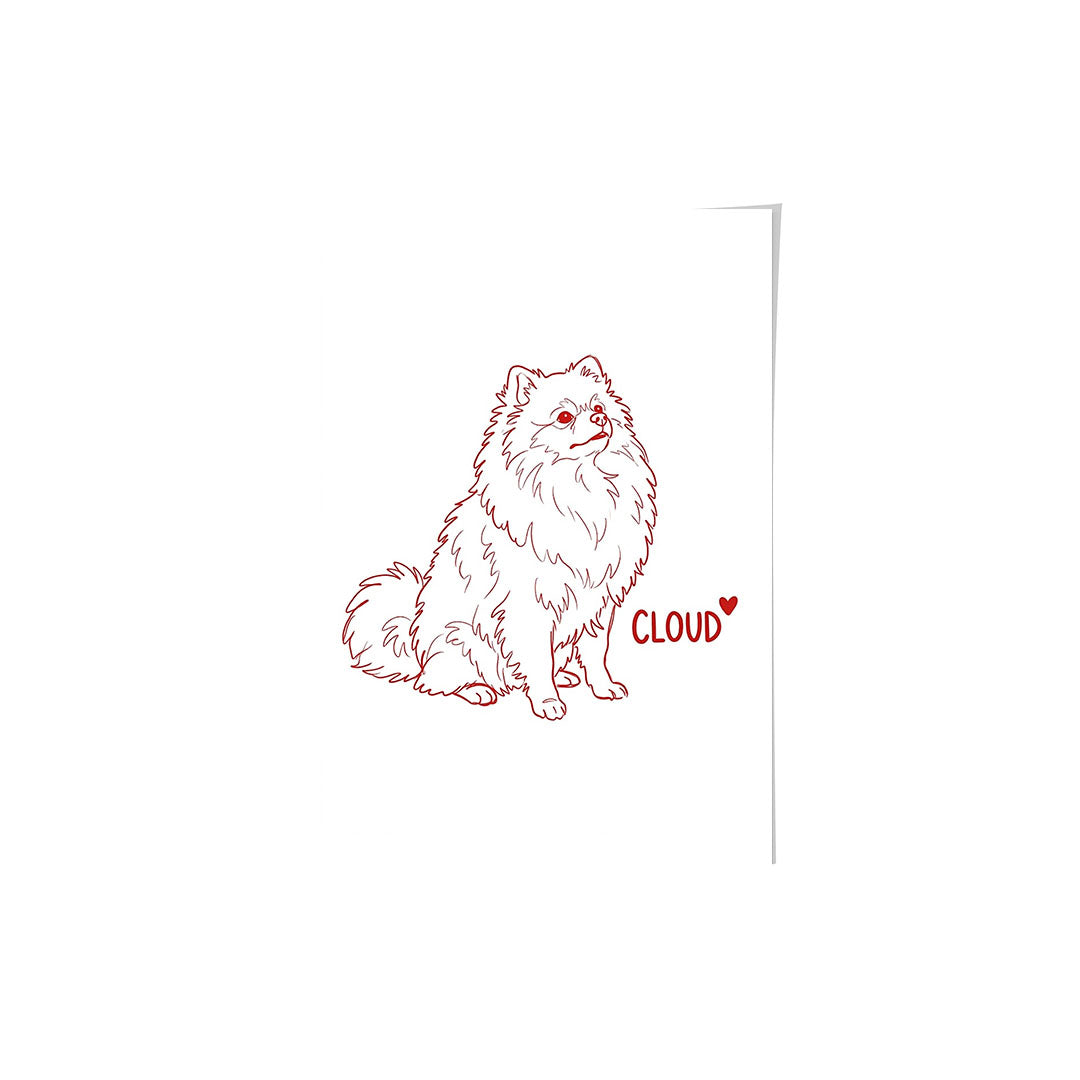 Minimalist Pet Portrait