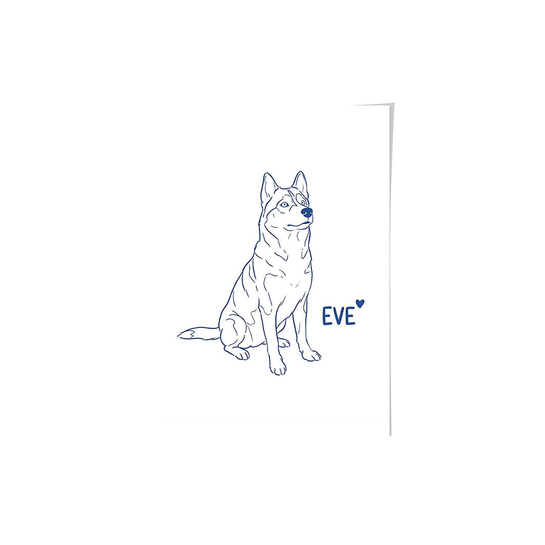 Minimalist Pet Portrait