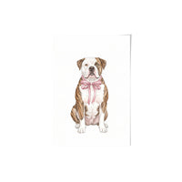 Bow Tied Pet Portrait