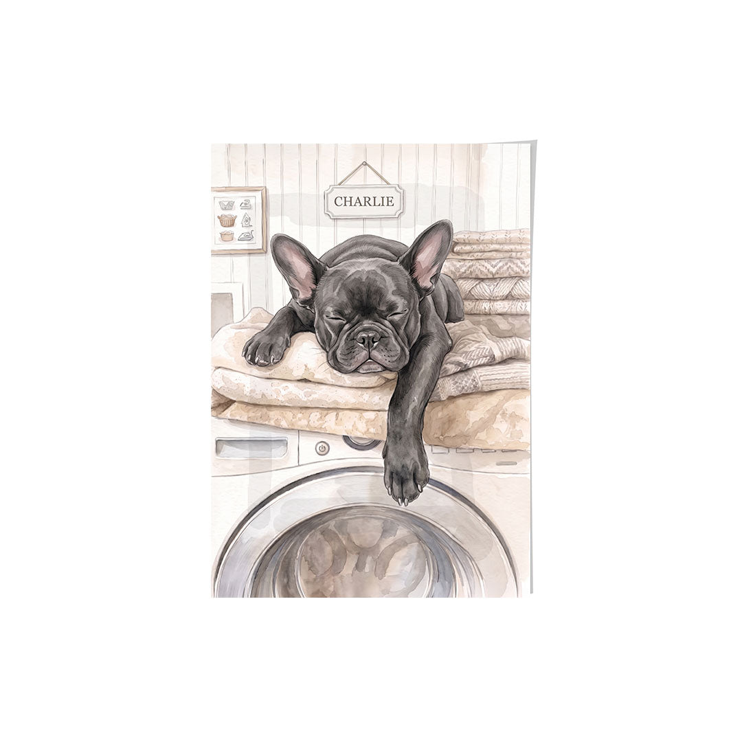 Washing Machine Pet Portrait