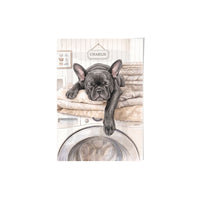 Washing Machine Pet Portrait