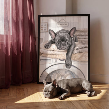 Washing Machine Pet Portrait