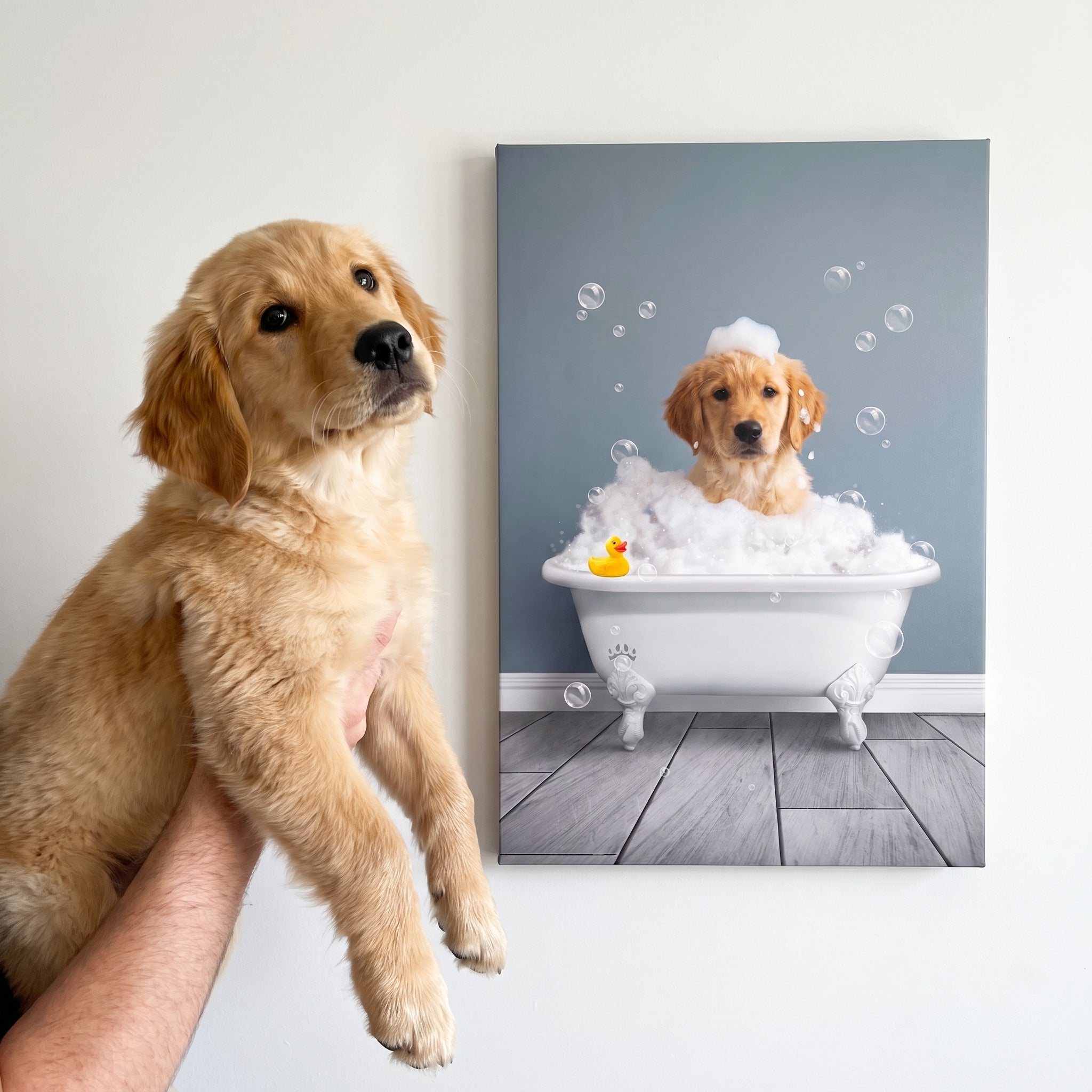 Golden retriever next to its Bath Tub Pet Portrait (One Pet)