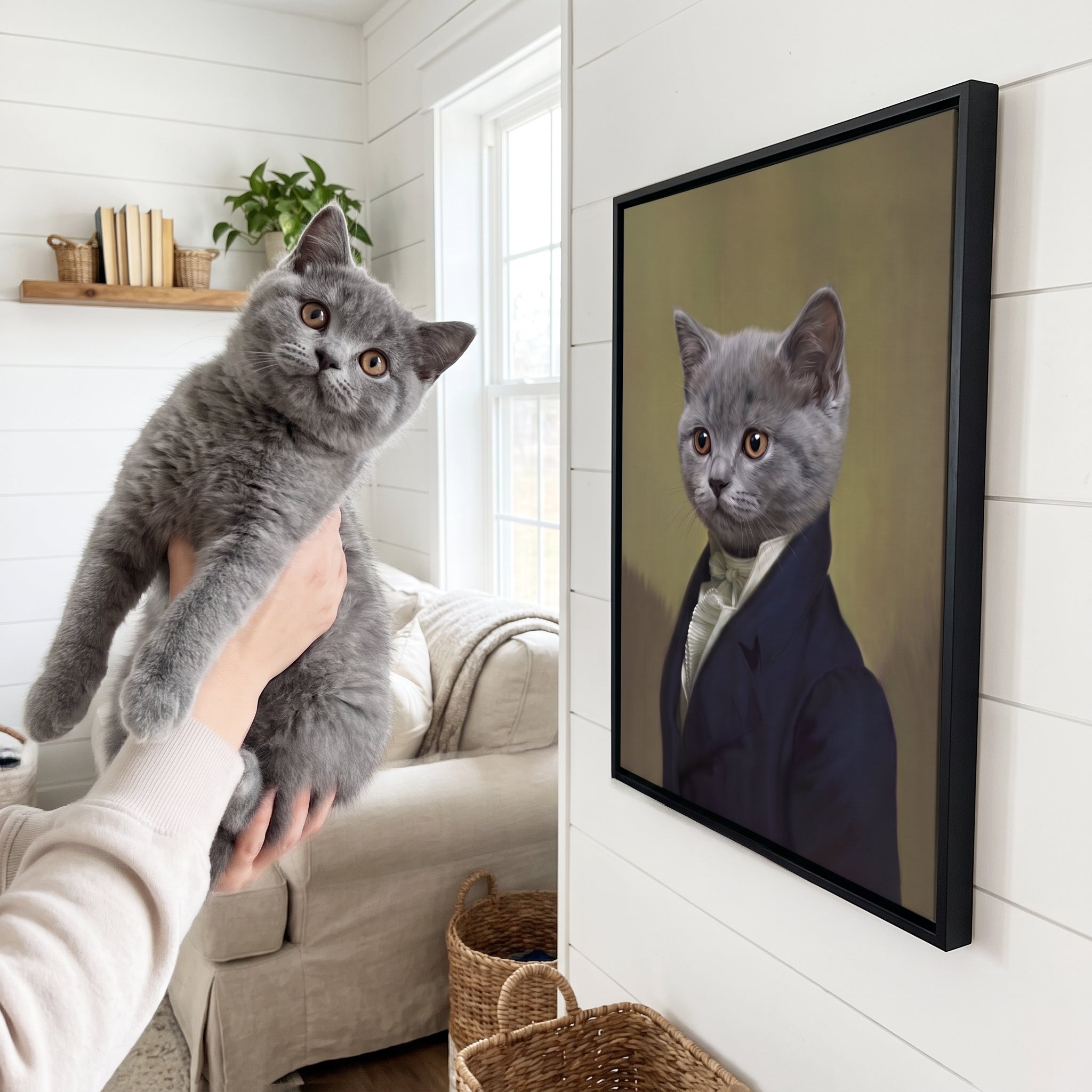 Grey british shorthair cat next to its The Ambassador custom pet canvas