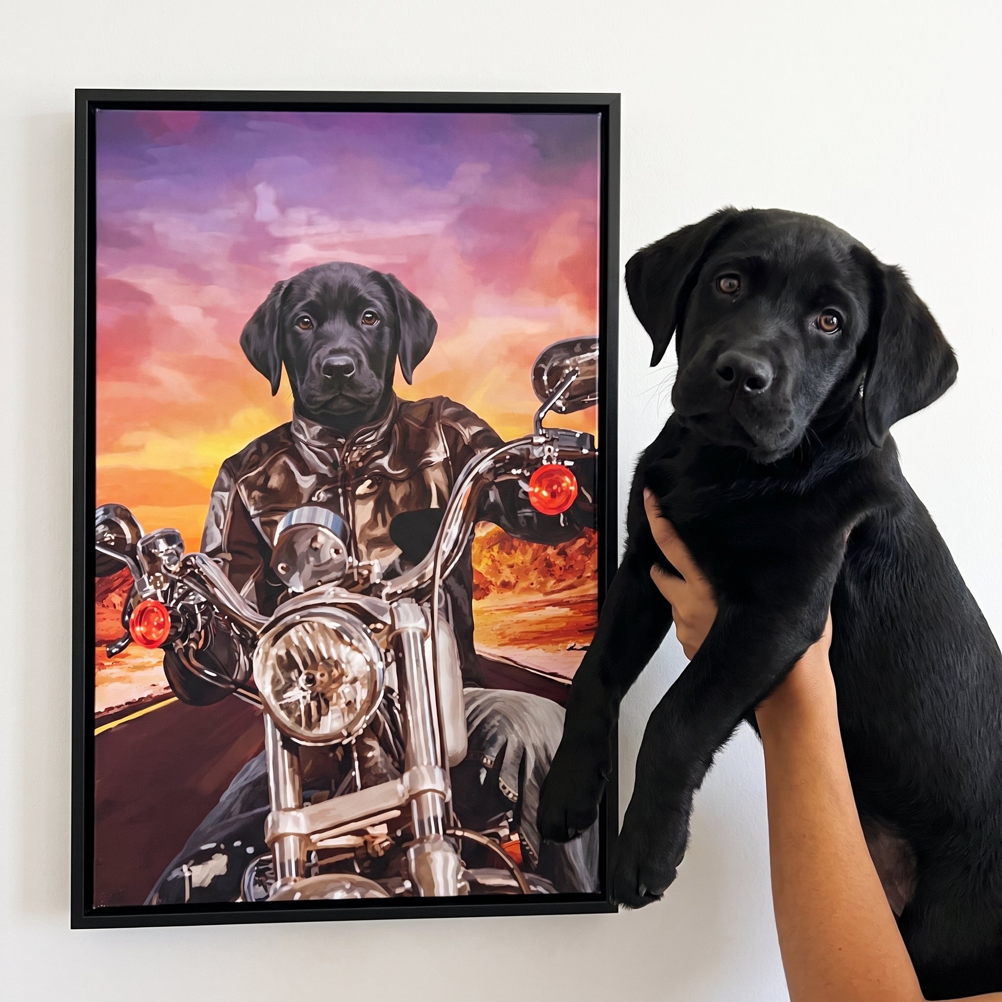 Black labrador next to its The Biker custom pet canvas