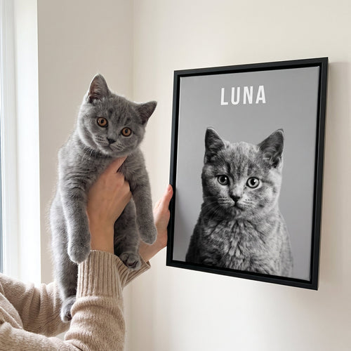 Grey british shor next to its The Designer Brand Pet Portrait - Custom Pet Print Canvas custom pet canvas
