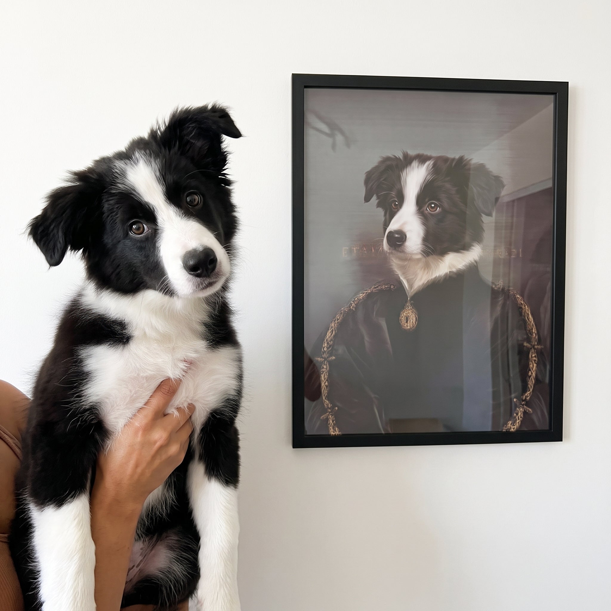 Border collie next to its The Duchess custom pet poster