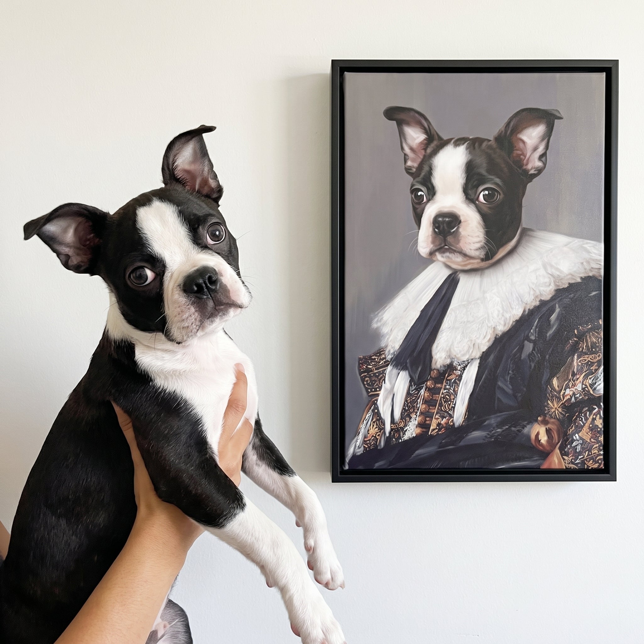 Boston terrier next to its The Laughing Cavalier custom pet canvas