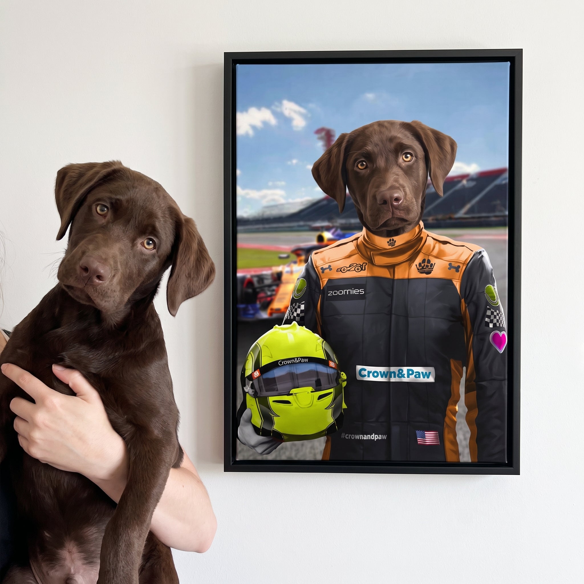 Chocolate labrador next to its The Orange Driver custom pet canvas