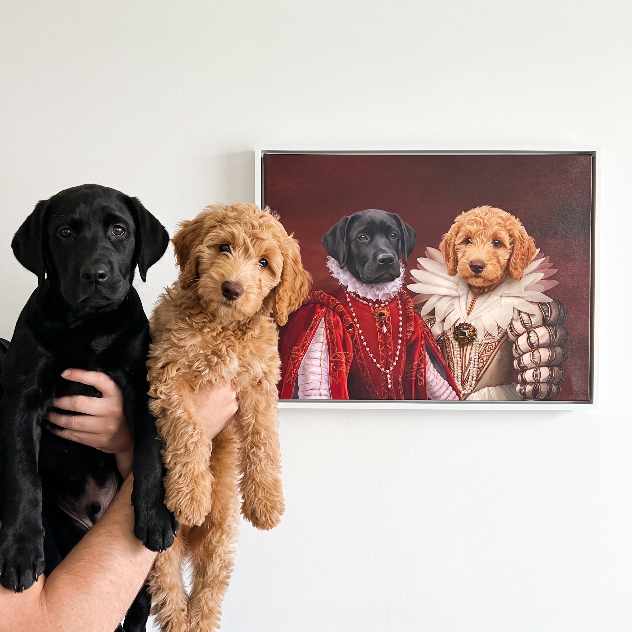 Black labrador and goldend next to its The Queen and Queen of Roses custom pet canvas