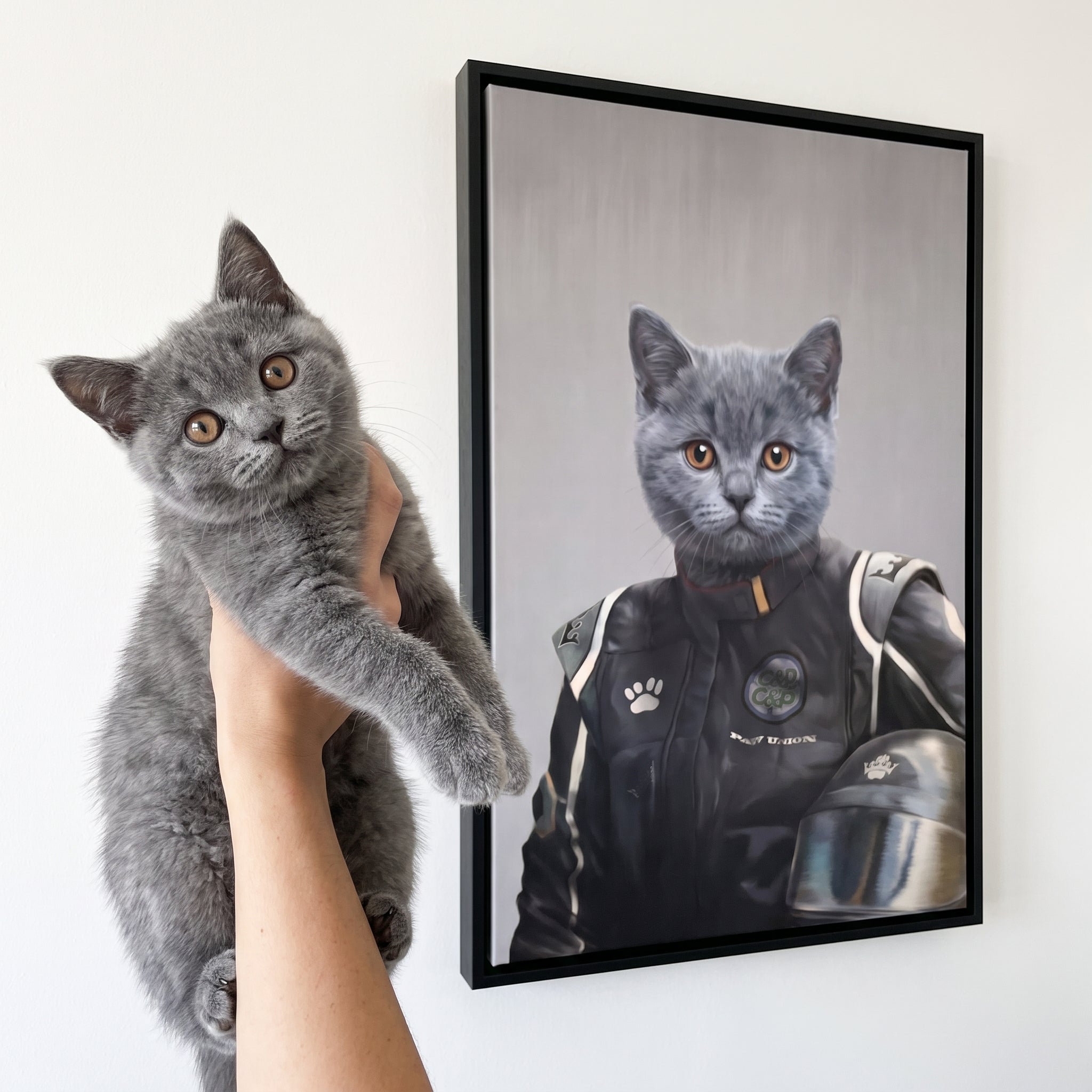 Grey british shorthair cat next to its The Race Car Driver custom pet canvas