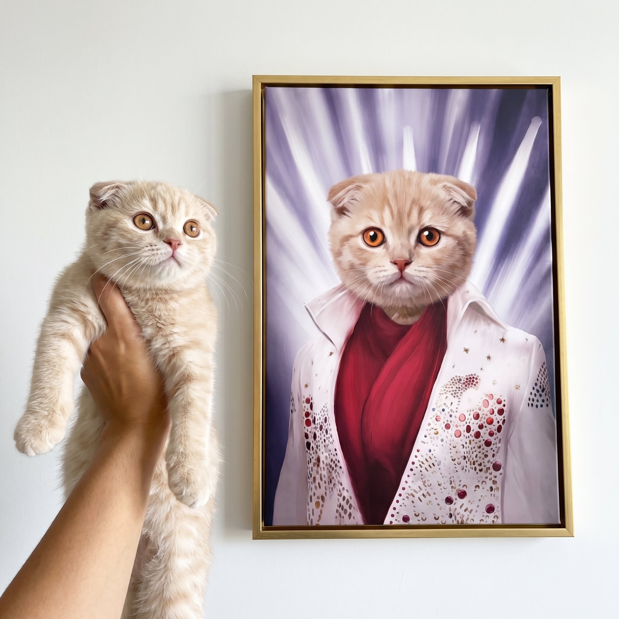 Scottish fold cat next to its The Rock God custom pet canvas