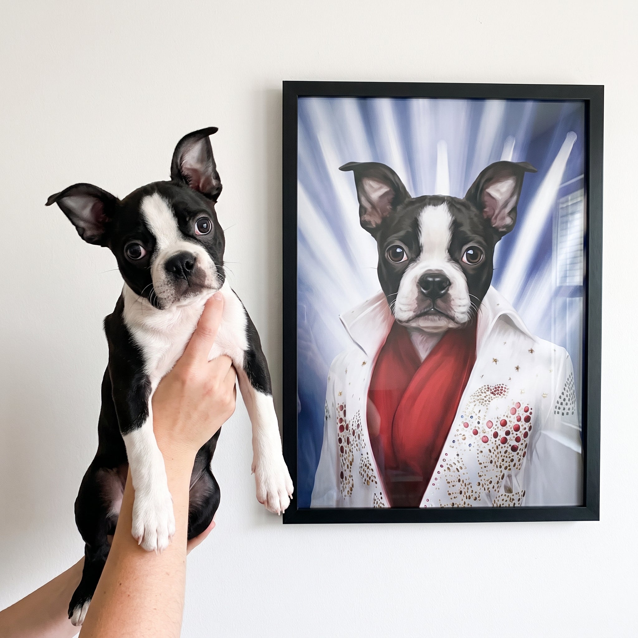 Boston terrier next to its The Rock God custom pet poster