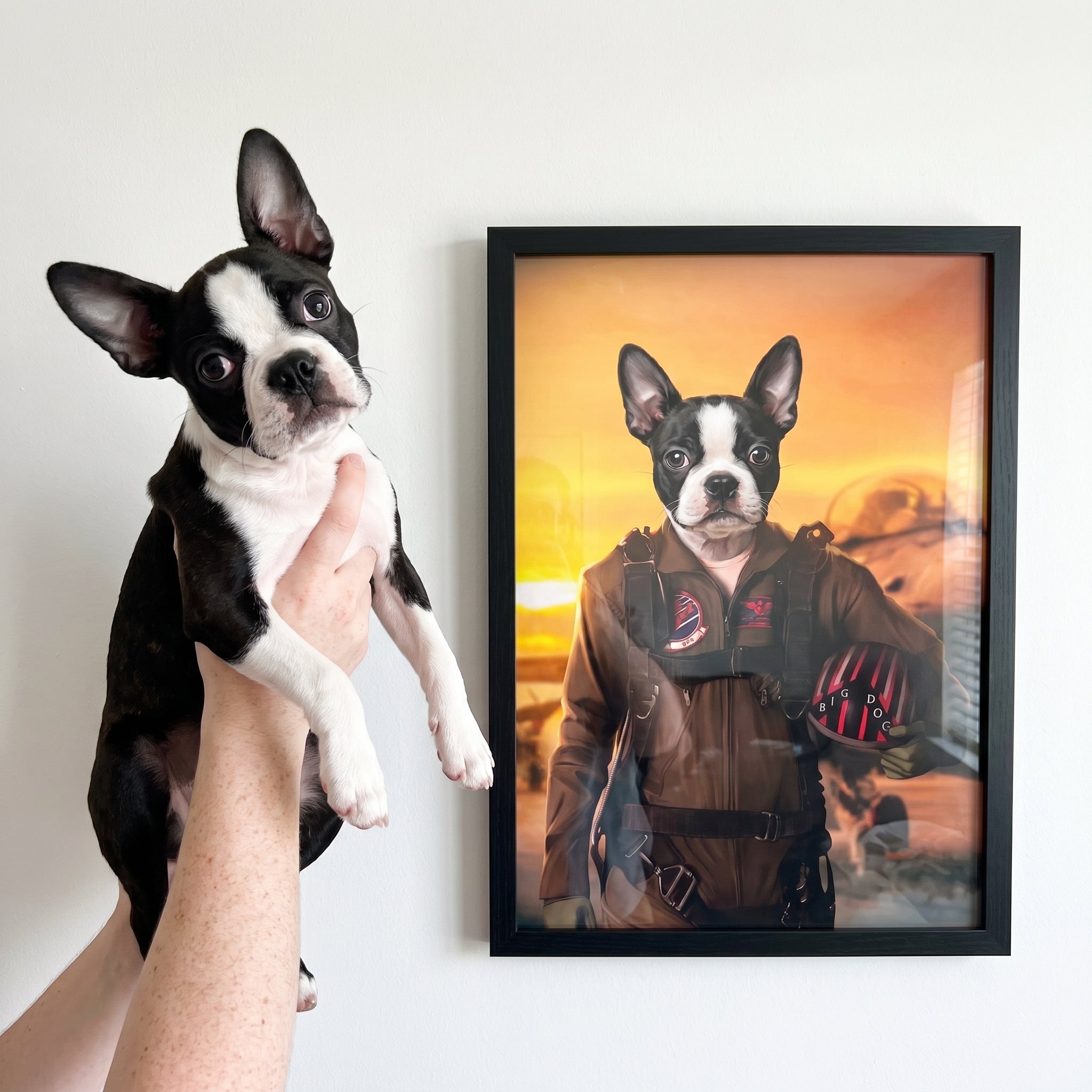 Boston terrier next to its The Top Pilot custom pet poster