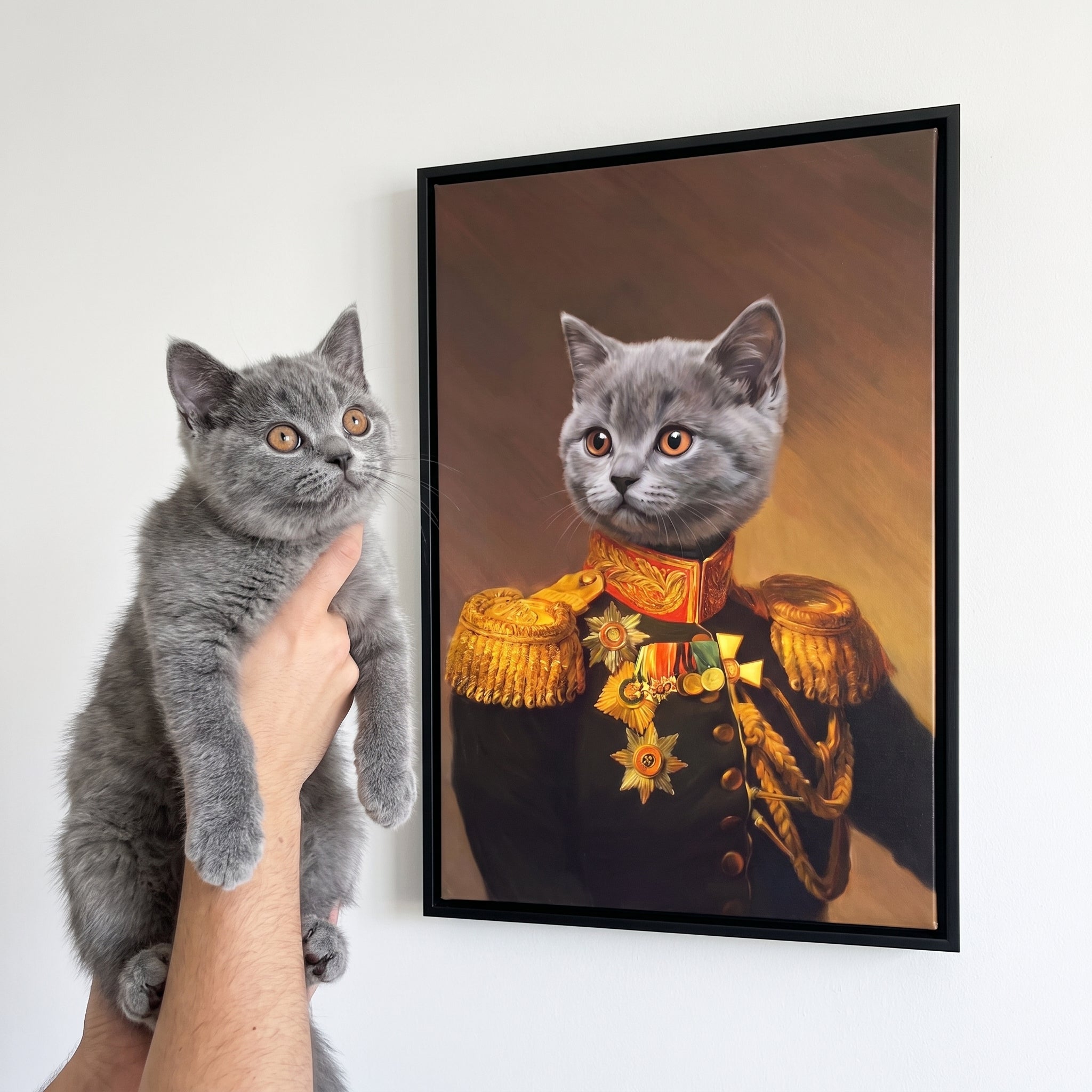 Grey british shorthair cat next to its The Veteran custom pet canvas