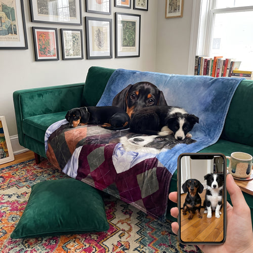Miniature dachshund and border collie with the Step Brothers custom pet blanket: pet + phone + blanket