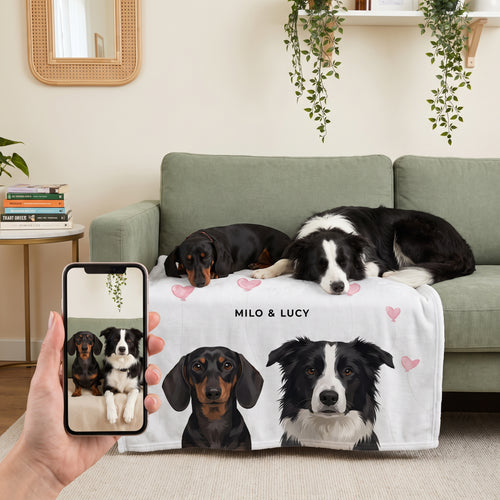 Miniature dachshund and border collie with the Valentines Pet Face Blanket - Two Pets: pet + phone + blanket