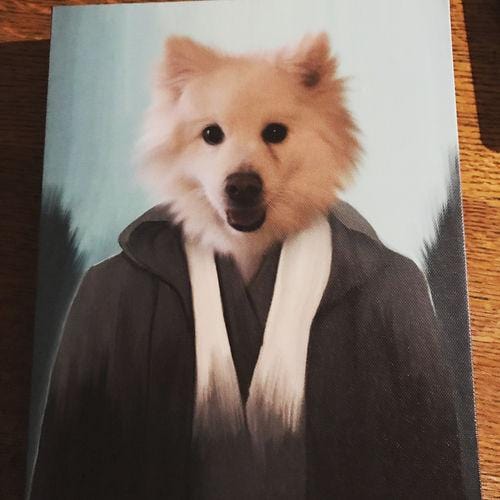 Crown and Paw - Canvas The Light Side - Custom Pet Canvas