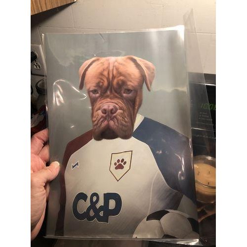 Crown and Paw - Poster The Soccer Player - Custom Pet Poster