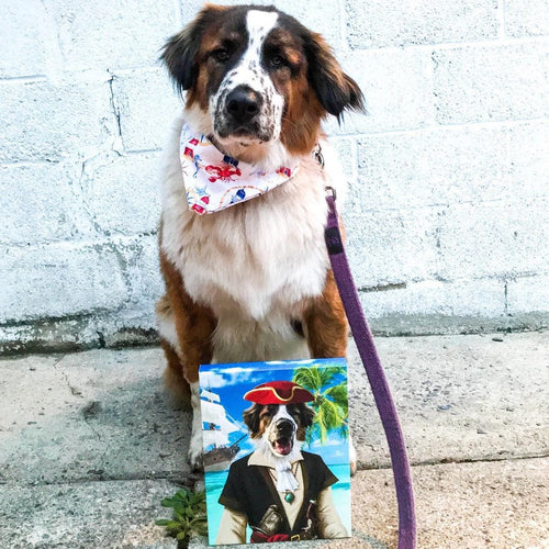 Crown and Paw - Canvas The Buccaneer - Custom Pet Canvas