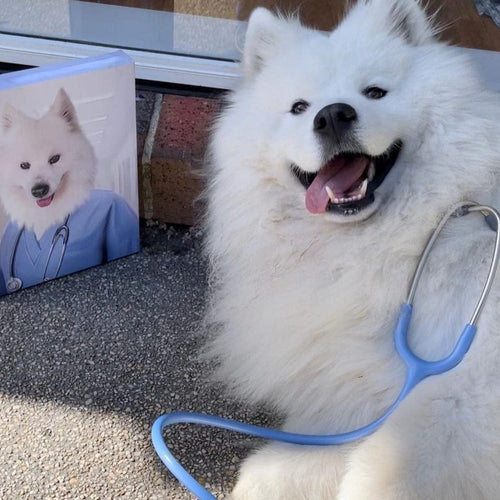 Crown and Paw - Canvas The Nurse - Custom Pet Canvas